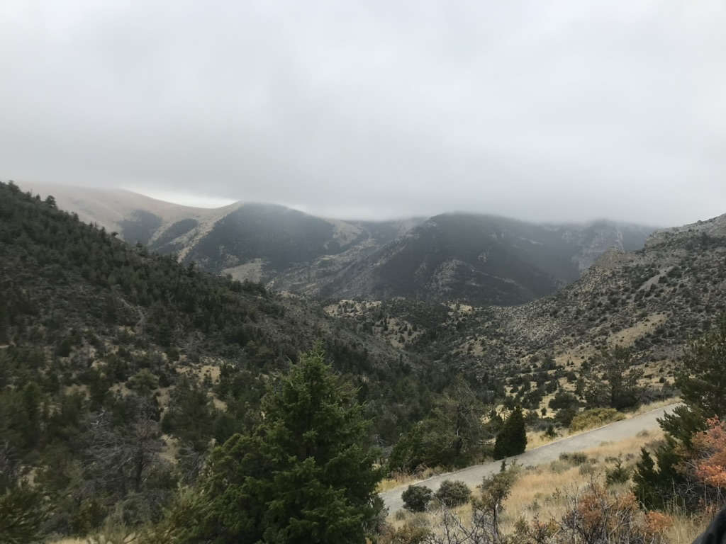 montana.jpeg